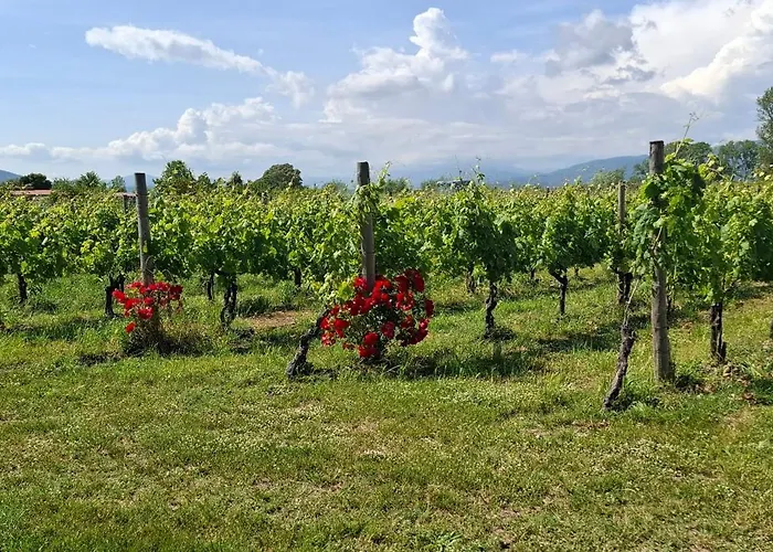 Сasa de vacaciones Peperilla House *